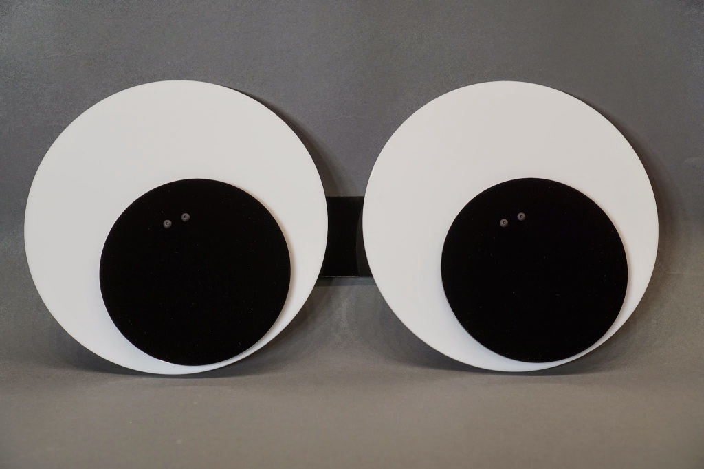 Completed robotic googly eyes.